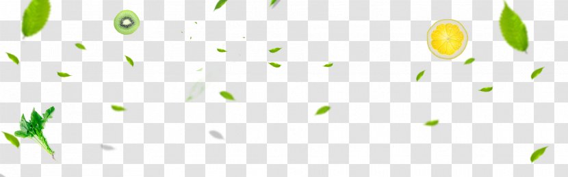 Logo Brand Pattern - Leaf - Green Leaves Fruit Slices Vegetable Floating Material Transparent PNG