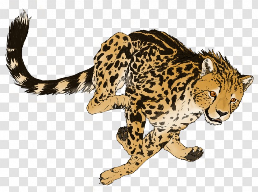 Cheetah Cat - Fauna - Transparent Picture Transparent PNG