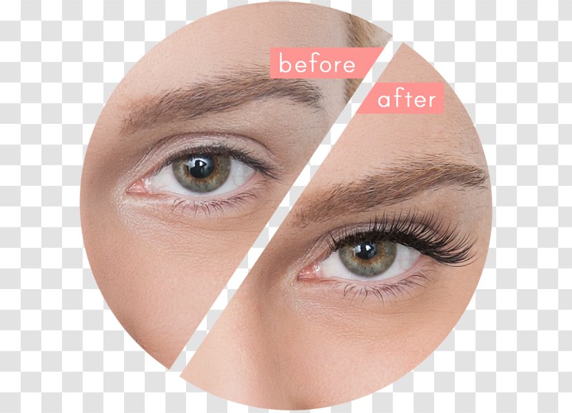 Eyelash Extensions Artificial Hair Integrations Hairstyle - Long Eyelashes Transparent PNG
