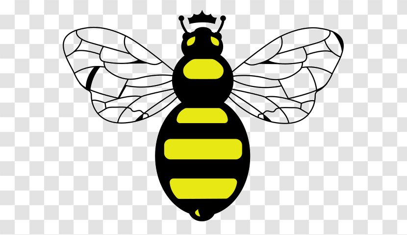 Honey Bee Bumblebee Clip Art - Artwork - Queen Transparent PNG