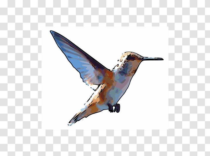 Rufous Hummingbird Clip Art - Animal Transparent PNG