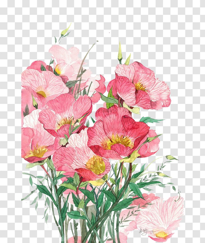 Watercolor Painting Flower - Pink - Bouquet Transparent PNG