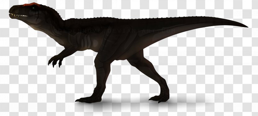 Velociraptor Carcharodontosaurus Jurassic Park: Operation Genesis Tyrannosaurus Dinosaur - Thescelosaurus - Park Transparent PNG