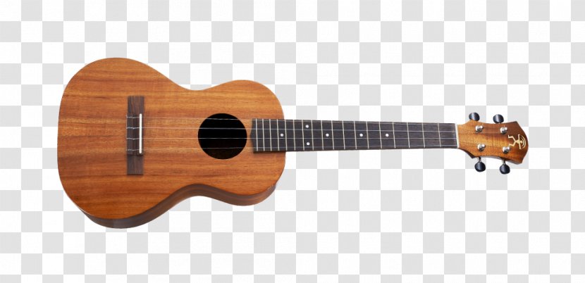 Taylor Guitars GS Mini Acoustic Guitar Bass - Frame - Ukulele Vector Transparent PNG