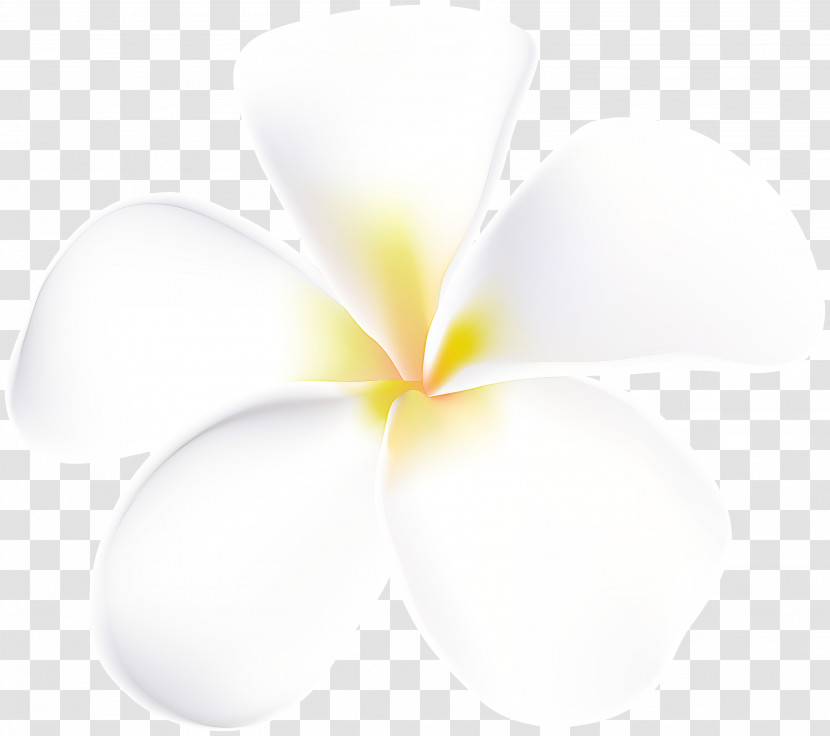 Flower Petal Computer Close-up M Transparent PNG