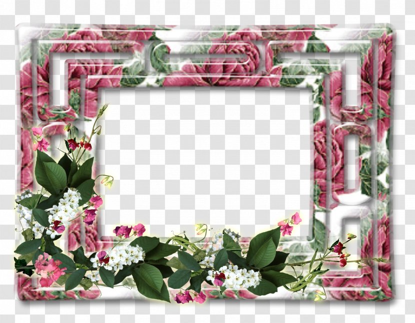 Picture Frames Photography Flower - Pink Transparent PNG