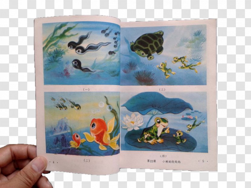 National Primary School Textbook - Art - Textbooks Small Tadpoles Looking For Mom Transparent PNG