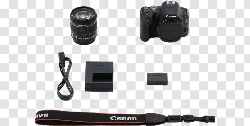 Canon EF-S 18–135mm Lens Digital SLR 18–55mm Single-lens Reflex Camera - Singlelens - 600d Transparent PNG