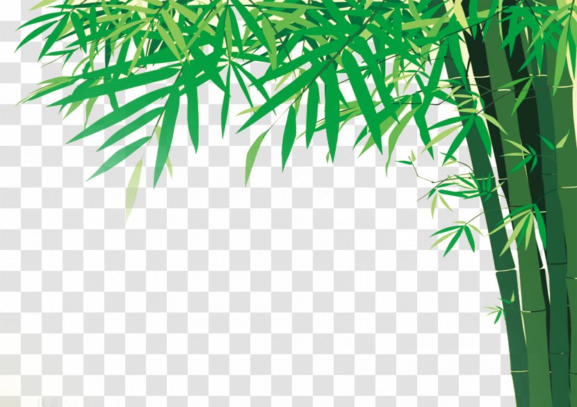 Bamboo Illustration - Flowerpot Transparent PNG