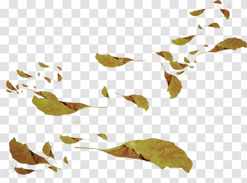 Leaf Branch Plant Stem Clip Art - Ode - Autumn Transparent PNG