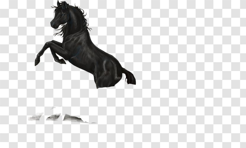 Mane Rein Pony Mustang Stallion - Fictional Character Transparent PNG