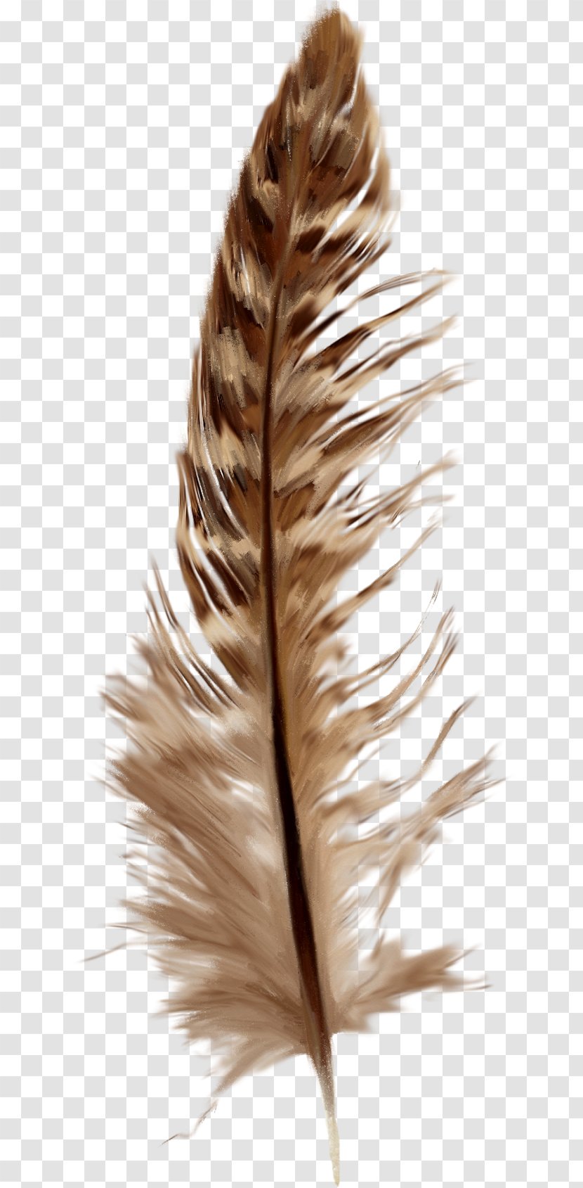 Feather Goose Clip Art - Pen - Creative Brown Feathers Transparent PNG