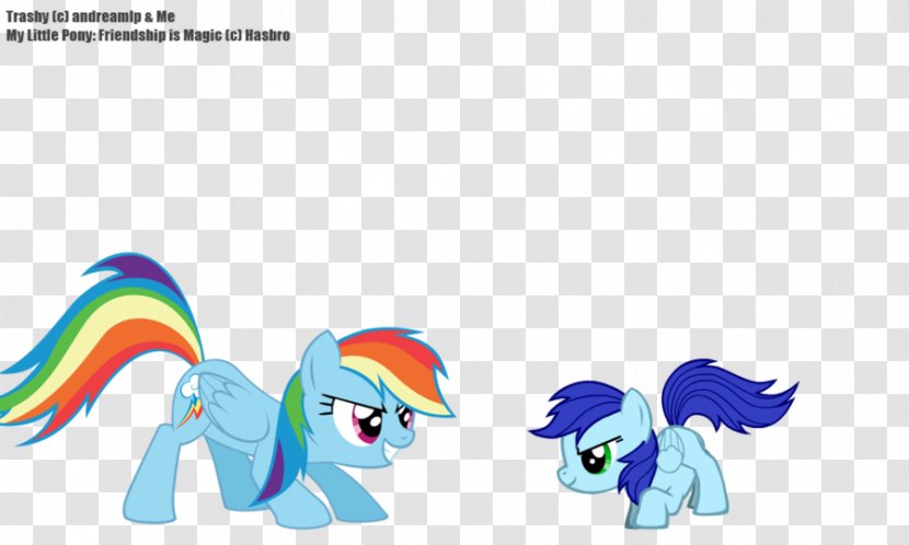 My Little Pony Rainbow Dash Rarity - Cartoon - Night Transparent PNG