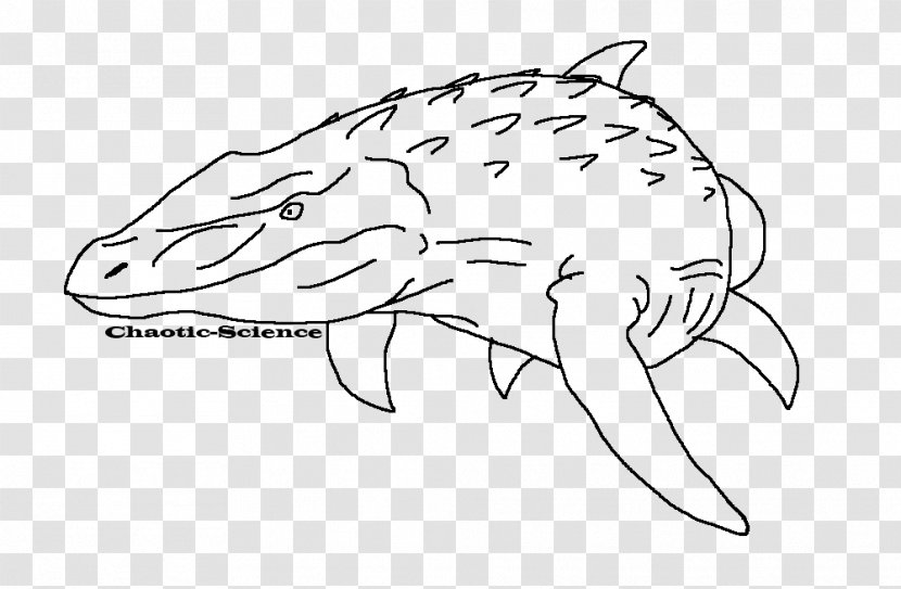 Mosasaurus Line Art Drawing Tylosaurus - Fish - Fauna Transparent PNG