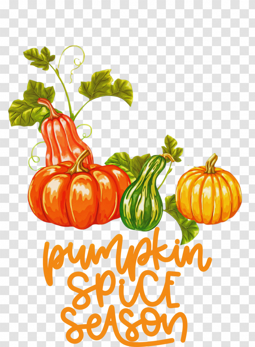 Autumn Pumpkin Spice Season Pumpkin Transparent PNG