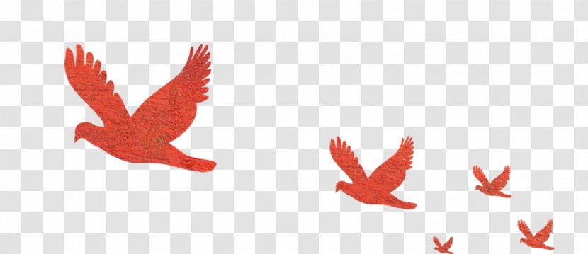 Red Flying Bird Flight Hawk - Leaf Transparent PNG