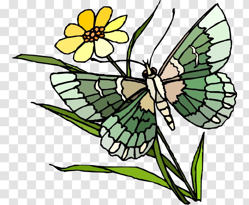 Monarch Butterfly Clip Art Image Butterflies In The Garden - Gardening Transparent PNG