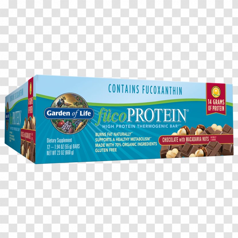 Dietary Supplement Protein Bar Chocolate Macadamia Nut - Peanut Transparent PNG