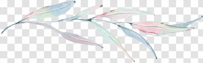 Leaf Line Art Pink M Cut Flowers - Vanilla Pod Transparent PNG