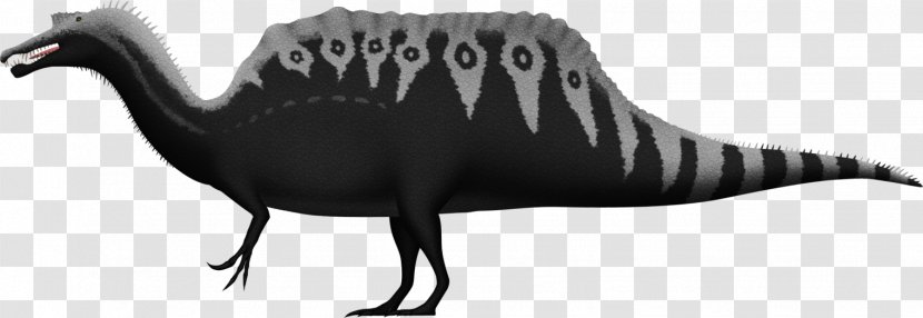 Spinosaurus Dinosaur DeviantArt Tyrannosaurus Monolophosaurus - Line Art - Scale Transparent PNG