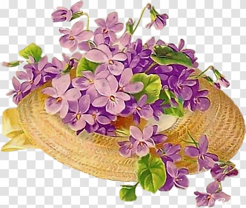 Flower Floral Design Violet - Arranging - Vintage Transparent PNG