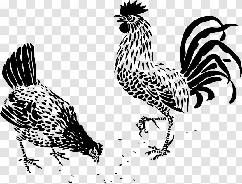 Plymouth Rock Chicken German Langshan Drawing Rooster Hen - Painting Transparent PNG