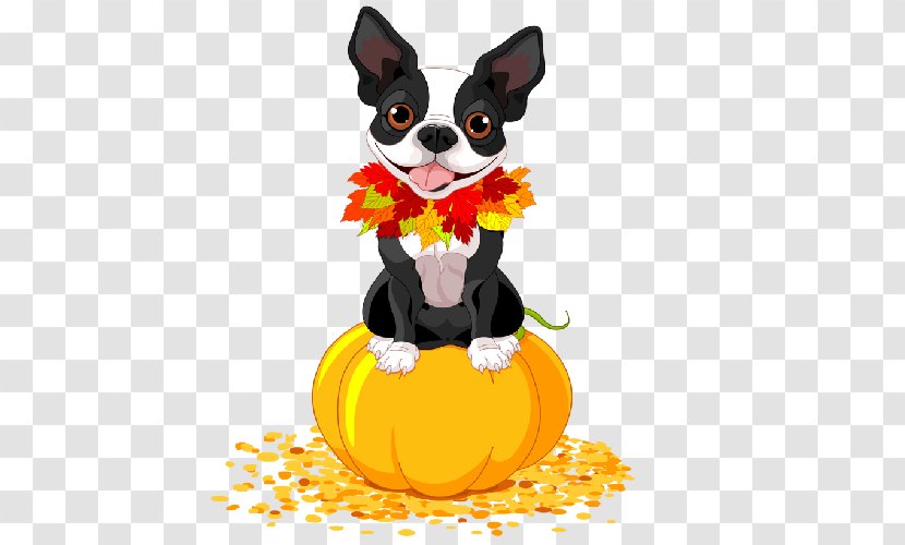 Boston Terrier Airedale French Bulldog English Foxhound - Halloween - Cute Transparent PNG
