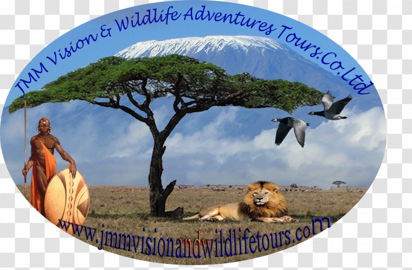 Swahili Language Mwana Translation East African Community Watawala - Tree - Tourism Transparent PNG