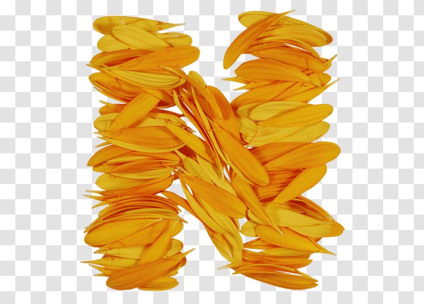 Petal - Yellow - The Petals Fall Transparent PNG