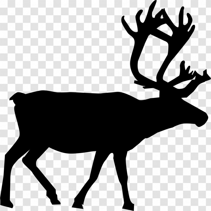 Reindeer Rudolph Santa Claus - Deer - Sitting Transparent PNG