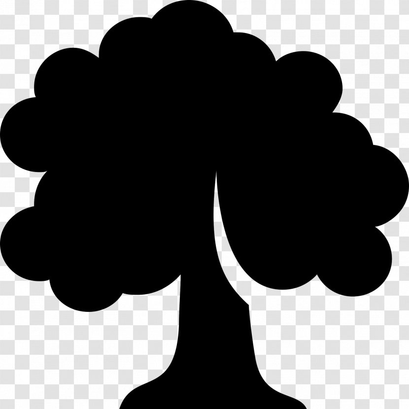 Tree Deciduous - Black - Oak Transparent PNG