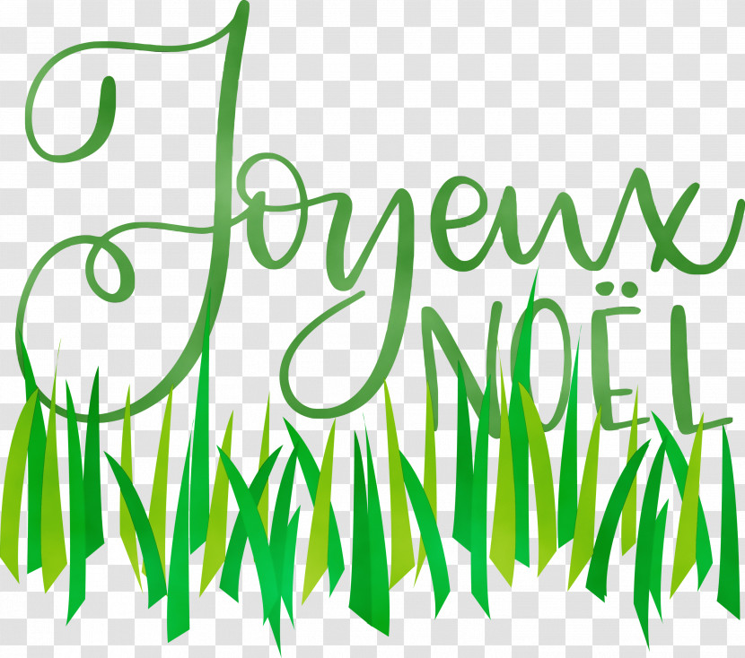 Lawn Lawn Mower Lawn Aerator Grassroots Lawn Specialists Dethatcher Transparent PNG