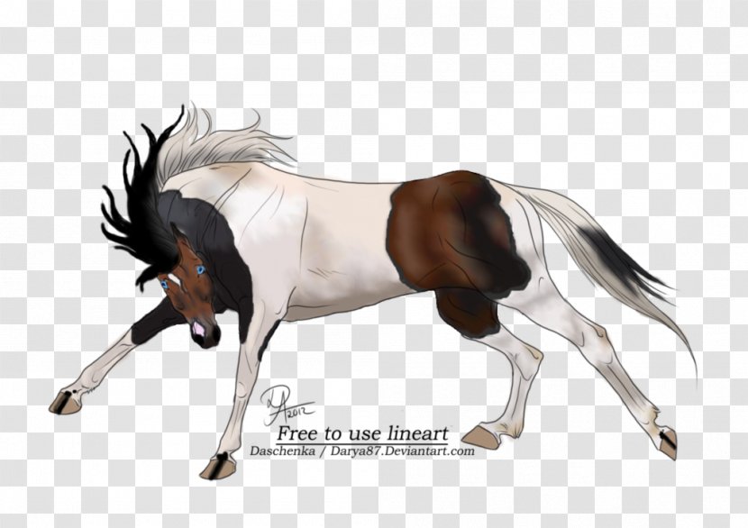 Mustang Foal Mare Stallion Pony - Horse Like Mammal Transparent PNG