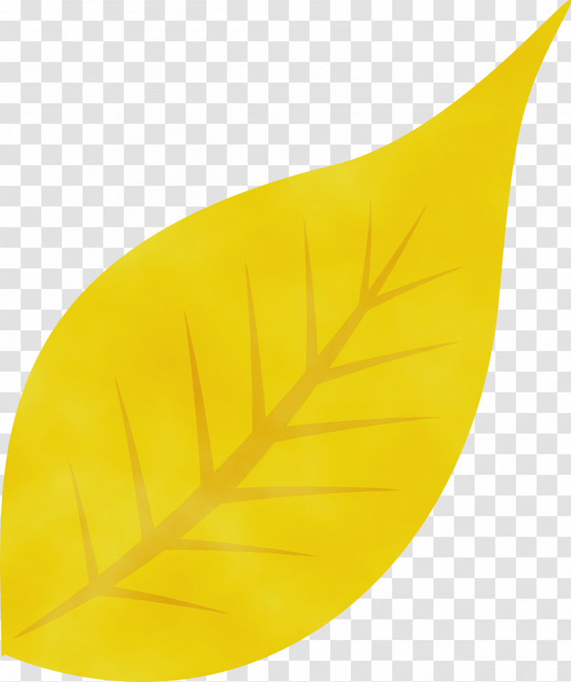 Leaf Yellow Science Plant Structure Biology Transparent PNG