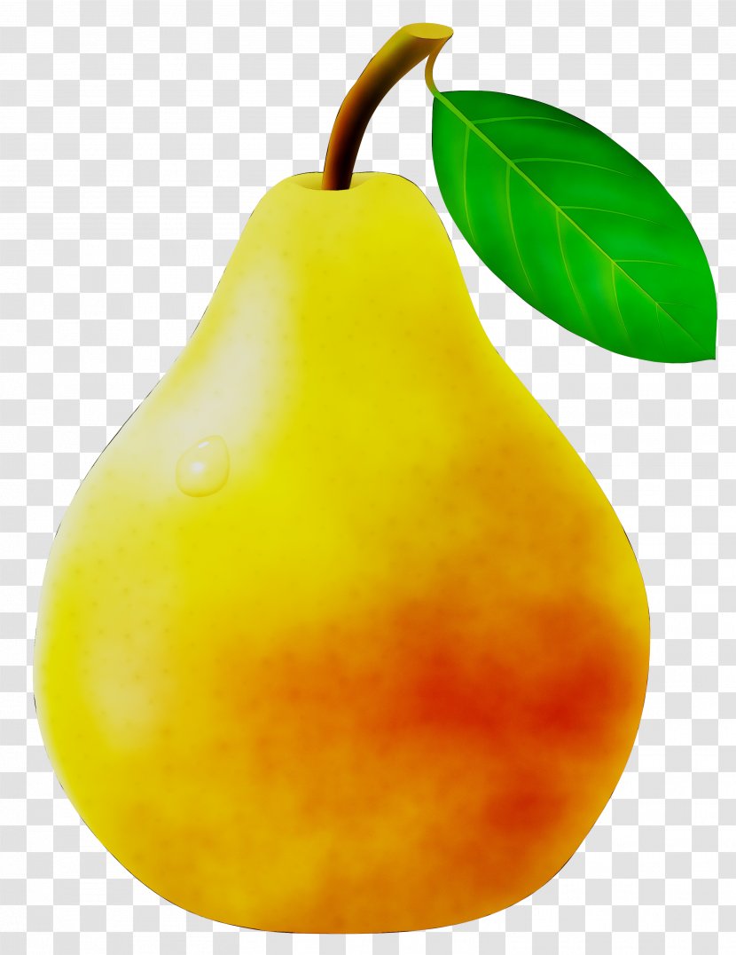 Pear Still Life Photography Natural Foods - Tree - Plant Transparent PNG