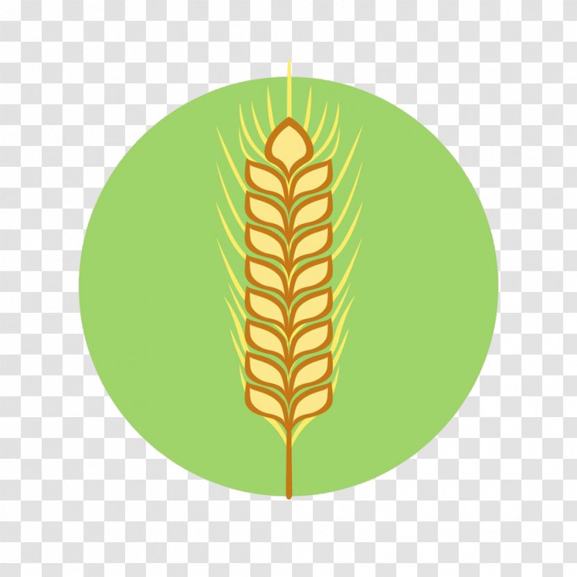 Flat Design Icon - Tree - Wheat Transparent PNG