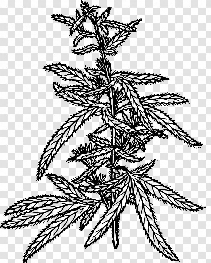 Hemp Cannabis Cannabinoid Clip Art - Flower Transparent PNG