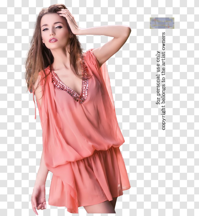Satin Cocktail Dress Nightgown Photo Shoot - Frame Transparent PNG