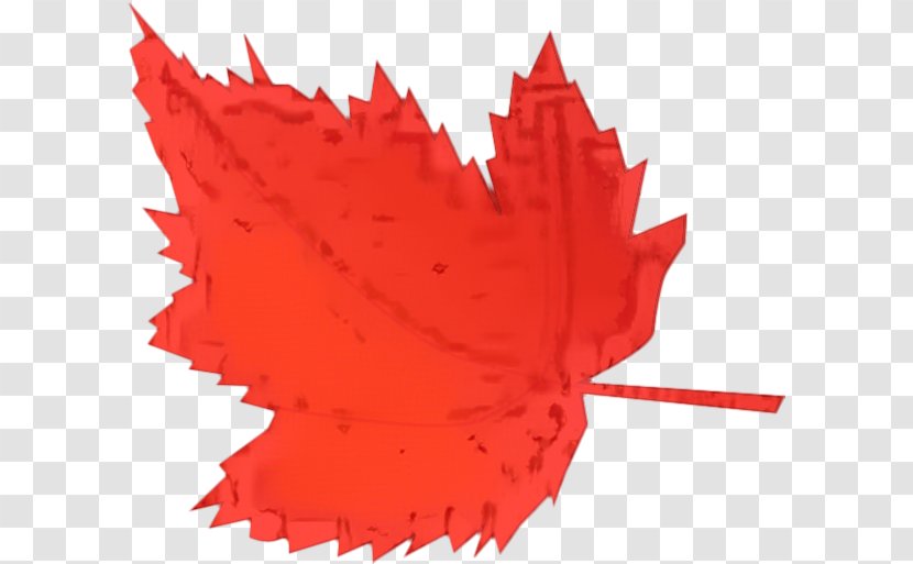 Red Maple Tree - Friesian Horse - Coquelicot Plant Transparent PNG