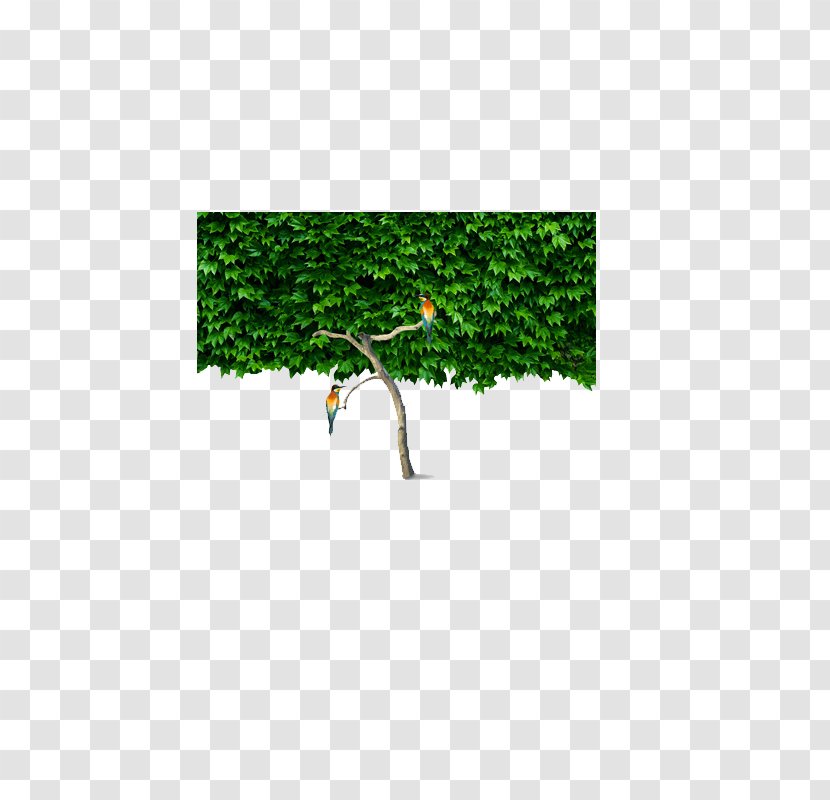 Icon - Grass - Branches Transparent PNG