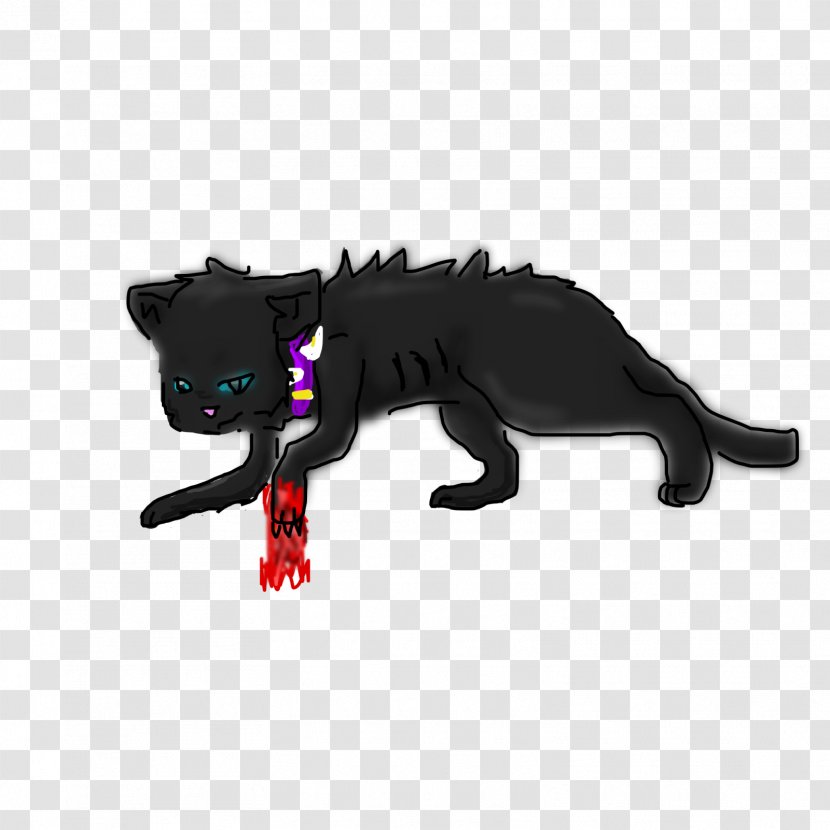 Cat Snout - Like Mammal - Erin Hunter Transparent PNG