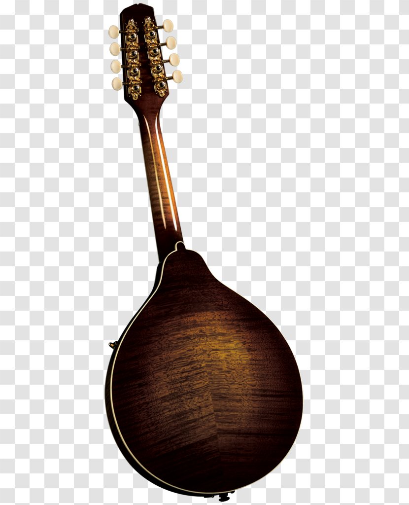 Mandolin Musical Instruments Musician Bağlama F-lyuk - Flower Transparent PNG