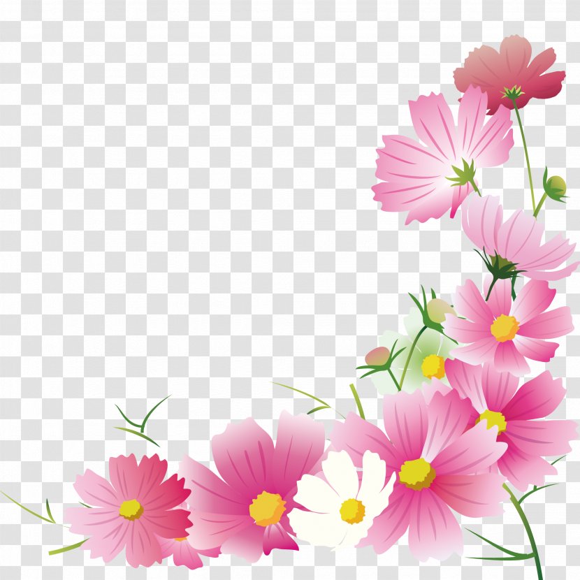Garden Cosmos Flower Floral Design Illustration Autumn - Chrysanths - Flowers Of Season Transparent PNG