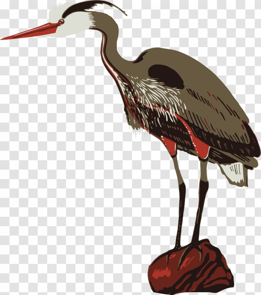 Crane Poster Zoo Heron - Beak - Lobster Clipart Transparent PNG