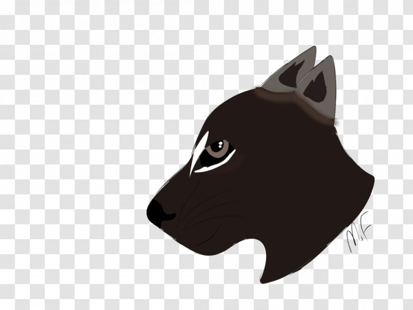 Whiskers Black Cat Dog - Carnivoran Transparent PNG