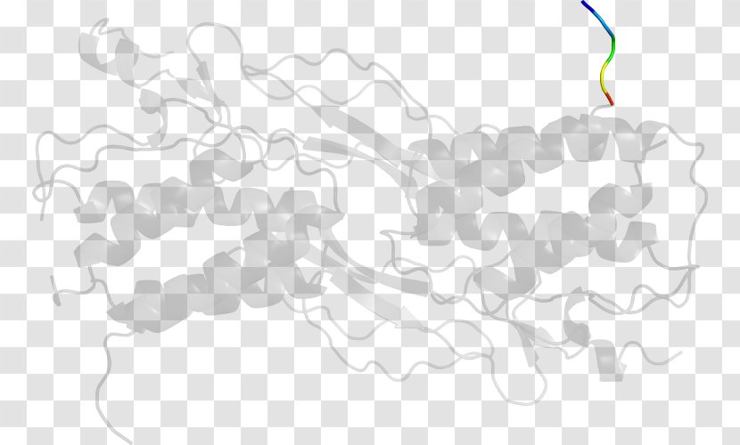 White Line Clip Art - Area Transparent PNG