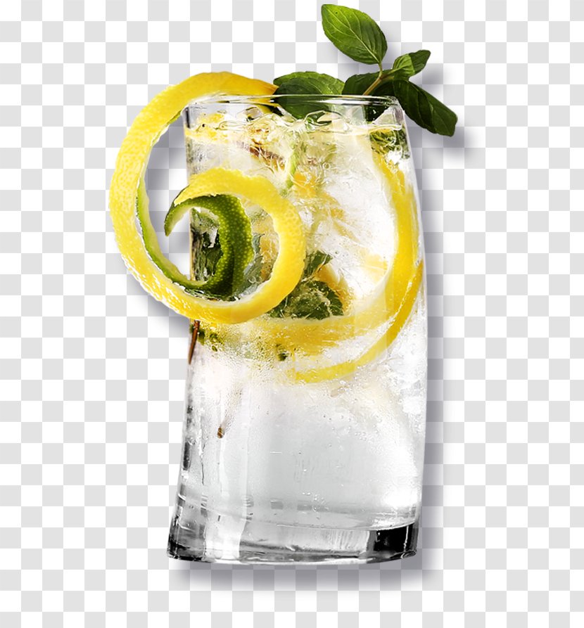 Cocktail Garnish Gin And Tonic Vodka - Fizz Transparent PNG