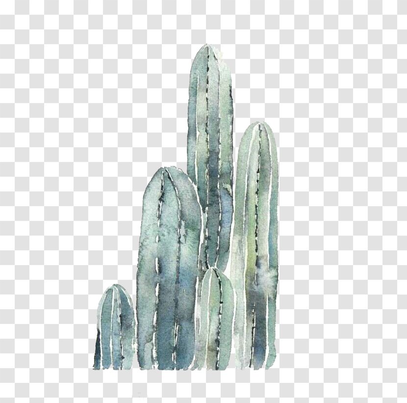 Cactaceae Gratis Clip Art - Highdefinition Television - Creative Hand-painted Fresh Cactus Transparent PNG