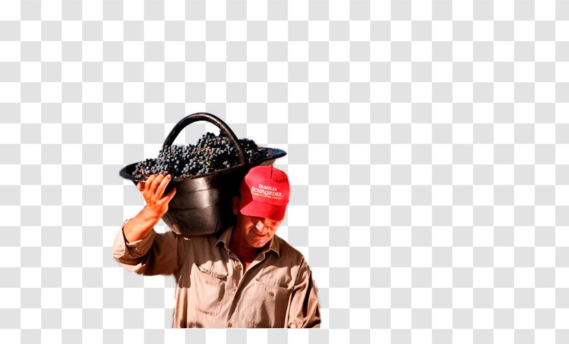 Microphone Hat - Headgear Transparent PNG