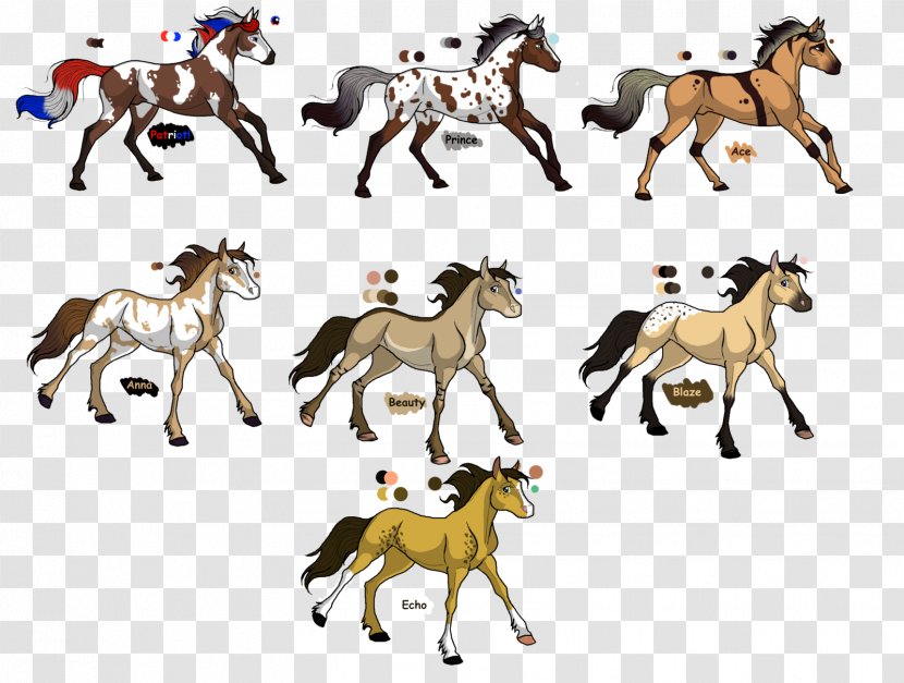 Mustang Foal Pony Colt Stallion - Horse Transparent PNG